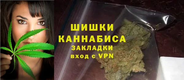 ПСИЛОЦИБИНОВЫЕ ГРИБЫ Переславль-Залесский