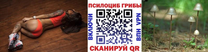 Псилоцибиновые грибы ЛСД  Железногорск 